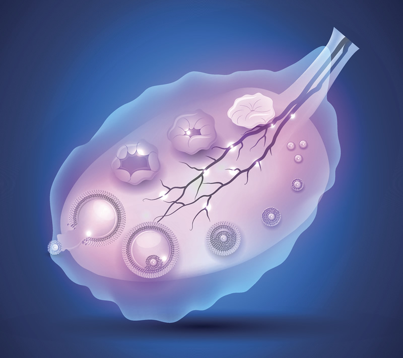 泰国试管婴儿费用过程?主要花费是怎样的?